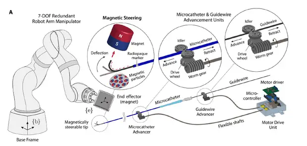 Роборуку с магнитом приспособили для удаленных эндоваскулярных операций