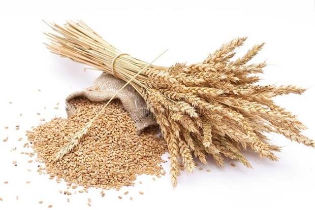 Та же пшеница довольно полезна, хоть и с глютеном. /Фото: face-kontrol.ru
