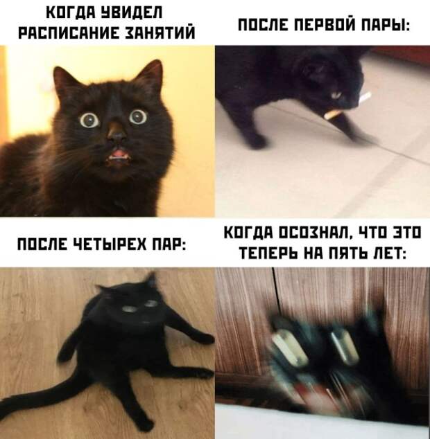 Студент в шоке от расписания занятий
