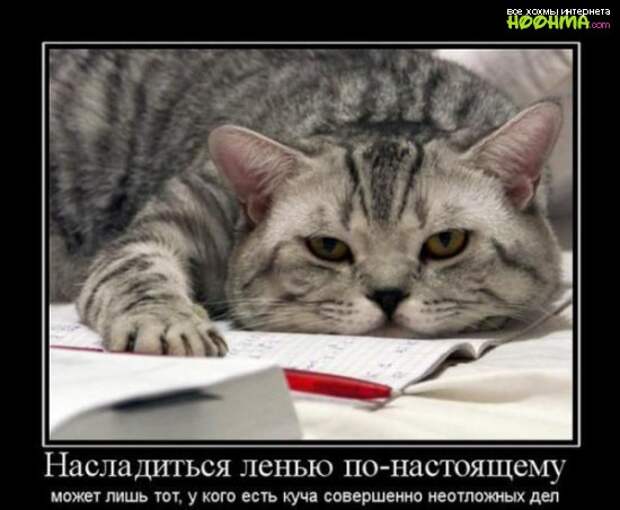 Интересные и веселые демотиваторы со смыслом (12 фото) Интересные и веселые демотиваторы со смыслом (12 фото)