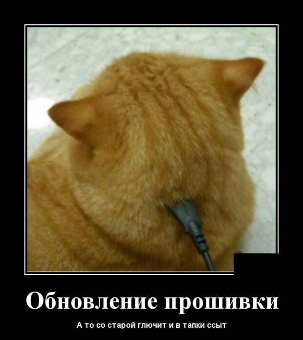 Демотиваторы (30 фото)