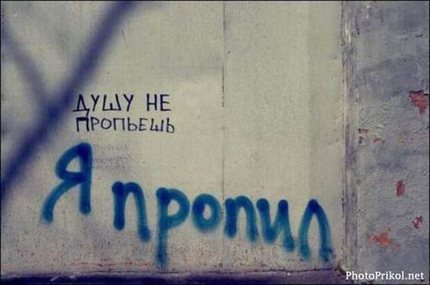 Смешные надписи и объявления 19