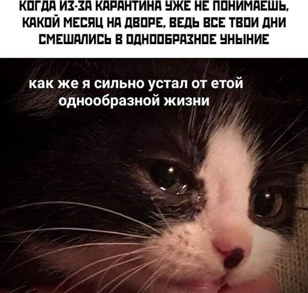 www.vsyako.net