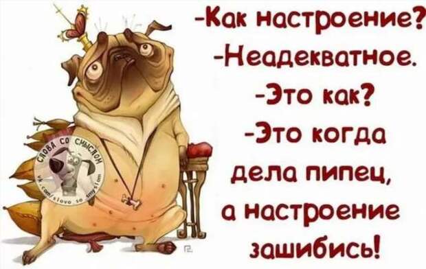 Неадекватный юмор из социальных сетей. Подборка chert-poberi-umor-chert-poberi-umor-42430616062020-16 картинка chert-poberi-umor-42430616062020-16