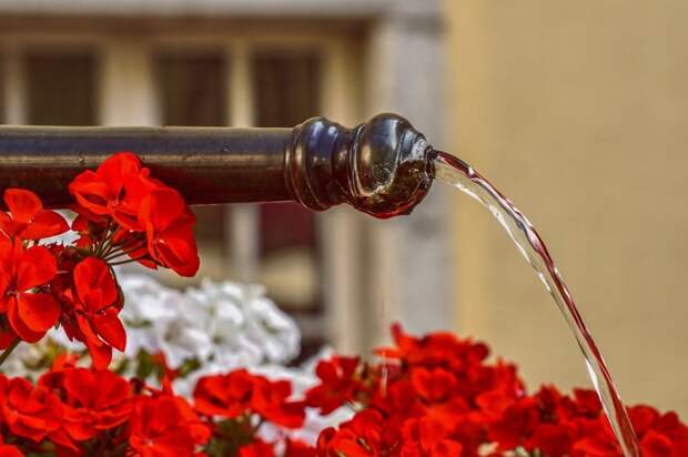 fountain-4516657_960_720 fountain-4516657_960_720