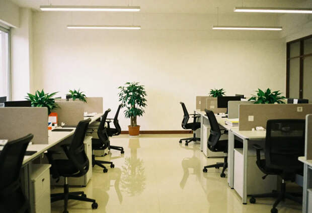 В ГД хотят внести законопроект об адаптивном больничном