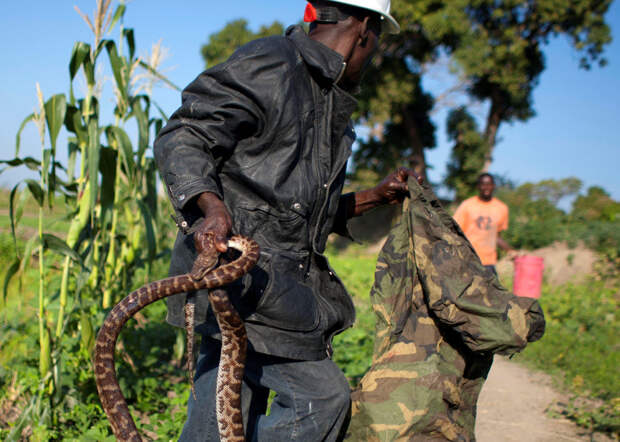 Snakehandler02