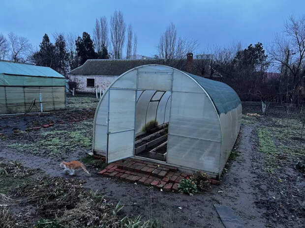 Спрячьте рассаду и доставайте пуховики: синоптики рассказали, когда Центральную Россию накроет снежным одеялом