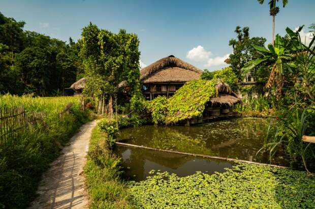 Фукуок в сезон: российские туристы сталкиваются с овербукингом и дефицитом мотобайков