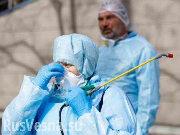 В Петербурге больных коронавирусом будут размещать в павильоне «Ленэкспо»