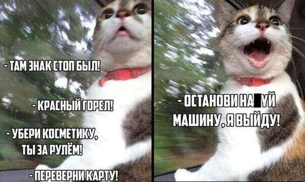 Осторожно! За рулем сногсшибательная женщина