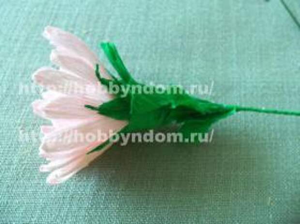 xp (16) МК. Кустовая хризантема для букета из конфет.