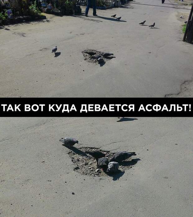 автоприколы