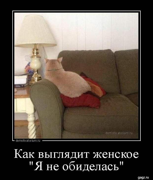 demotivators_funny_pics_gagz_ru_001185