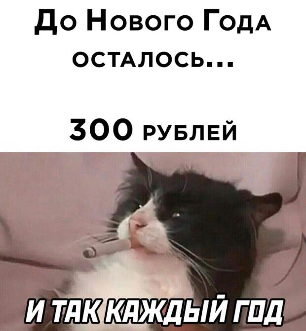 Смешные картинки 31 декабря 2021 года