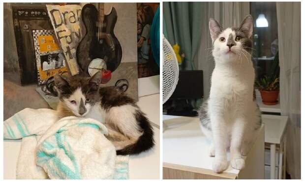 24. КотоМэн 24. КотоМэн