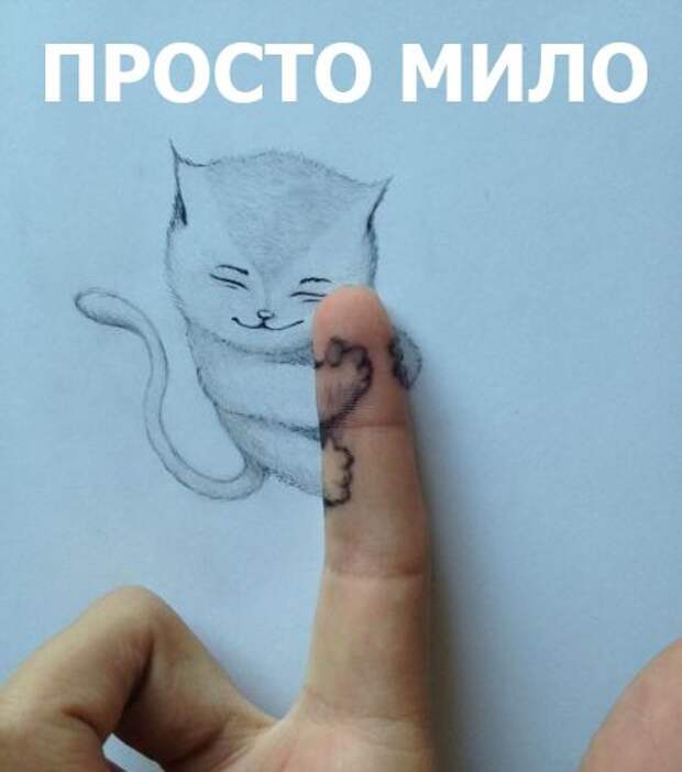 Прикольные и веселые картинки с надписями для настроения (11 фото) Прикольные и веселые картинки с надписями для настроения (11 фото)