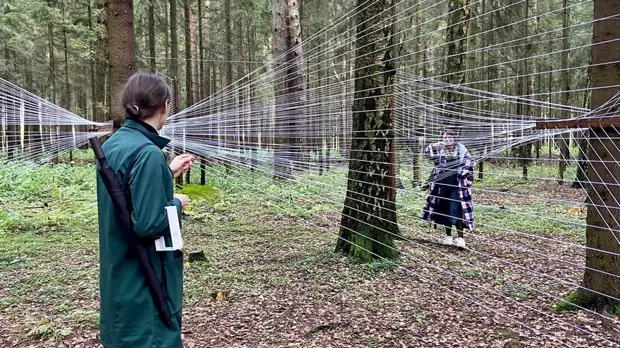 В Подмосковье открылась уникальная выставка в лесу