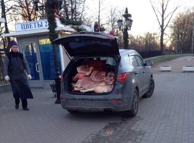 Ничего необычного, просто доставка мяса в Санкт-Петербурге  прикол, юмор