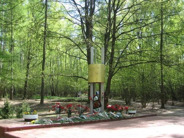ЛЗ Теплый Стан Обелиск 0804.jpg