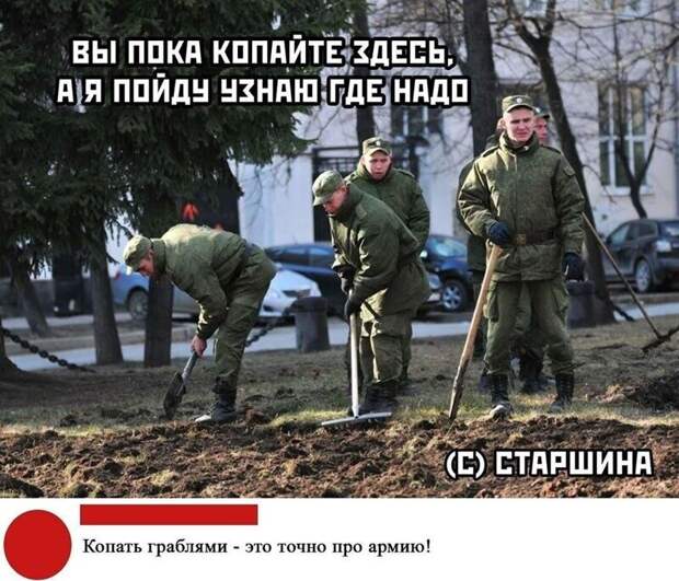Армия Армия