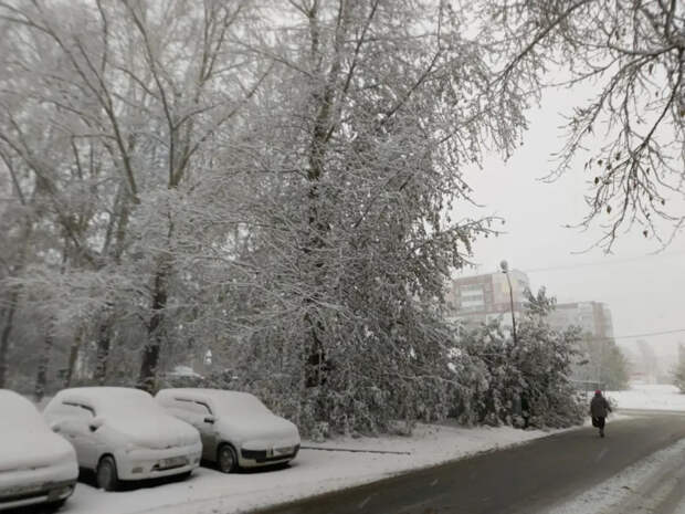 У новосибирцев вырос спрос на перегон автомобилей