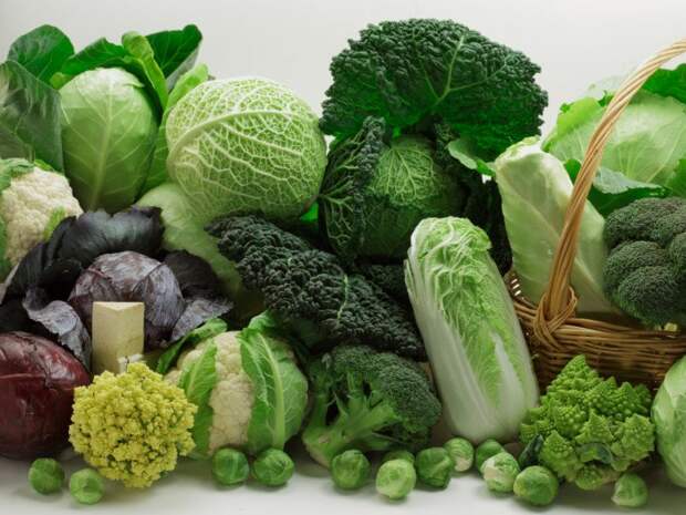 Капуста полезна и для мозга, и для поддержания фигуры в тонусе. /Фото: organicfacts.net Капуста полезна и для мозга, и для поддержания фигуры в тонусе. /Фото: organicfacts.net