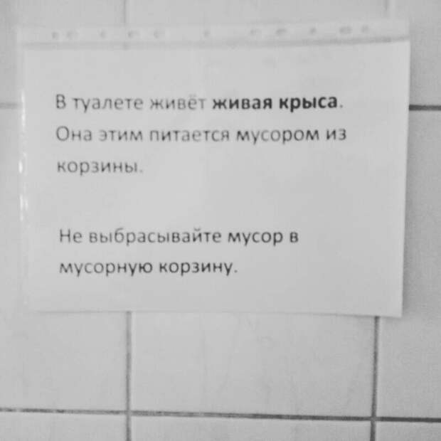 Туалетный питомец Туалетный питомец