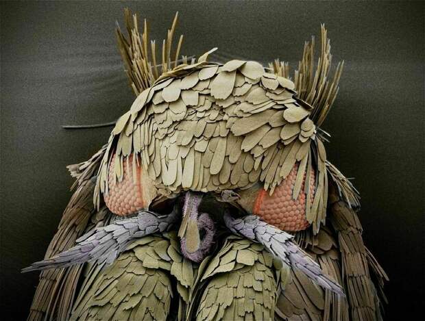 17 микрофотографий, которые покажут с новой стороны мир, что кроется у нас под носом