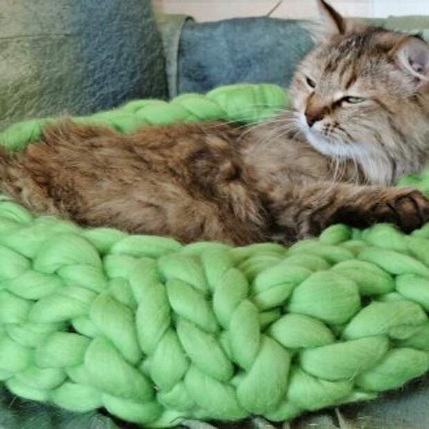 Зеленая вязаная лежанка для кошек