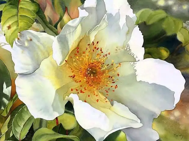 картина художника Марни Вард (Marney Ward) – 23 художник Marney Ward (Марни Вард) картины – 23