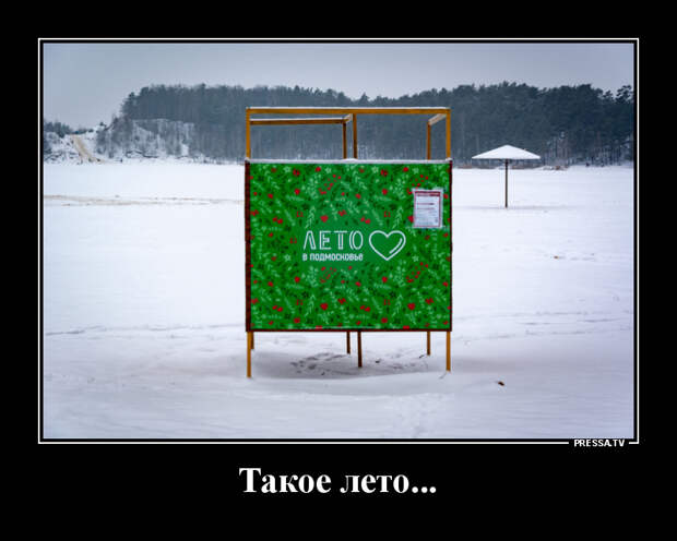 Демотиваторы