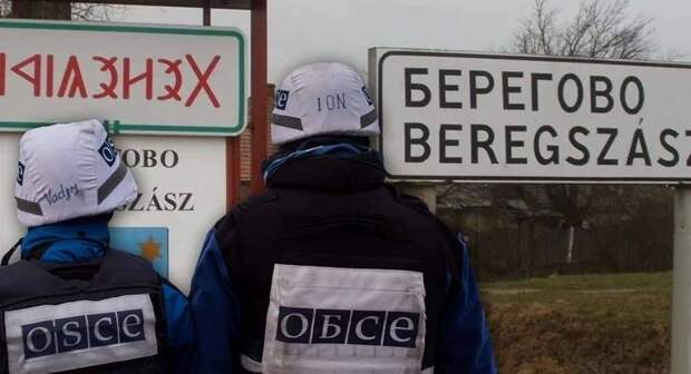 Конфликт Украины и Венгрии перестаёт быть двусторонним Конфликт Украины и Венгрии перестаёт быть двусторонним