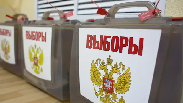 Глава Минцифры оценил систему дистанционного голосования на довыборах