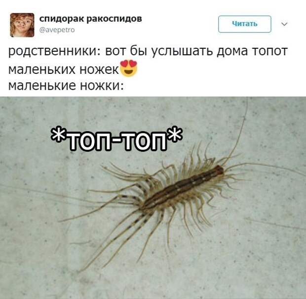 Подборка картинок. Вечерний выпуск (30 фото)