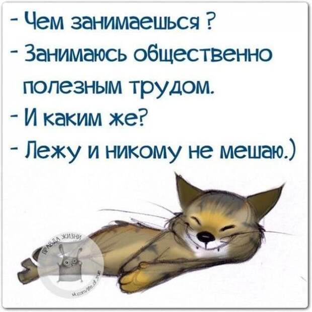 Несколько задорных открыток с отборным юмором