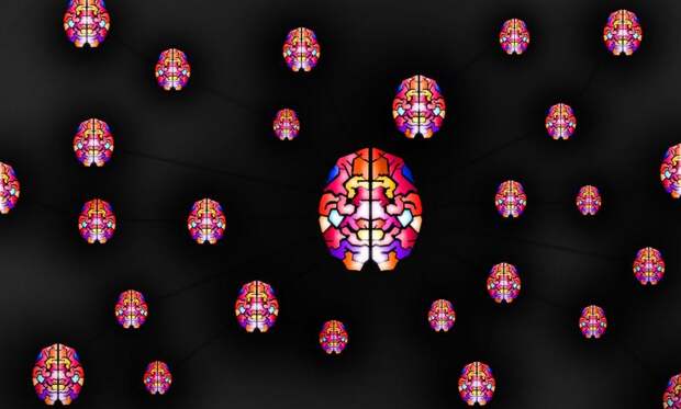 Вакансии: постдоки в Институте когнитивных нейронаук ВШЭ