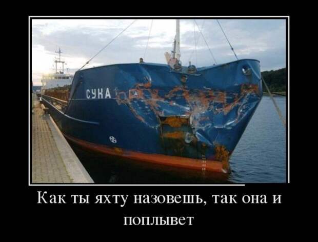Демотиваторы (30 фото)