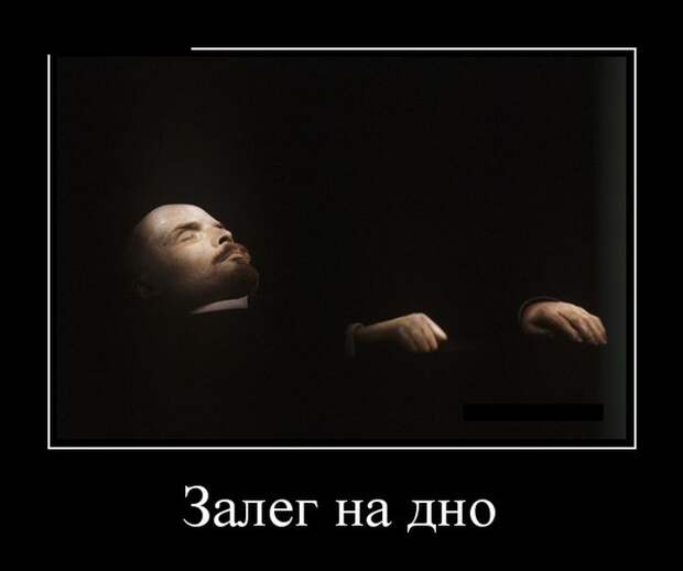 Демотиваторы (30 фото)