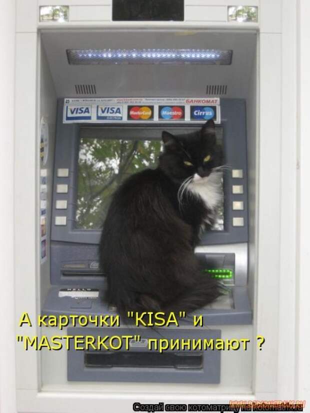 Уфф!!! Ну наконец-то! Котоматрицы великолепные, каждая с улыбкой и хорошим настроением!
