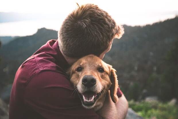 7 признаков того, что ваша собака сильно привязана к вам