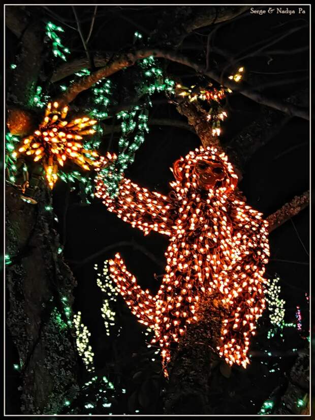 Garden d'Lights 2008 - Обезьяна Garden d'Lights 2008 - Обезьяна