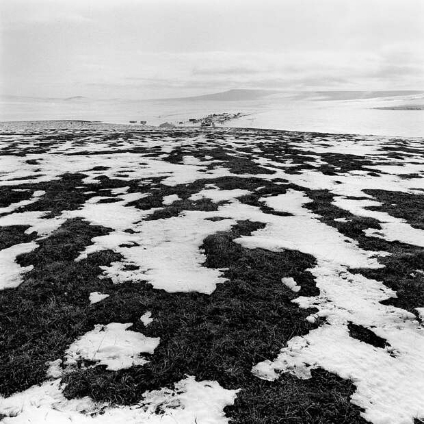 fotograf-Aleks-Harris_11