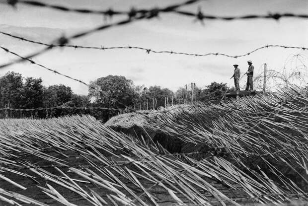 Вьетнамская война глазами вьетнамцев вьетнамская война, история, редкие фото
