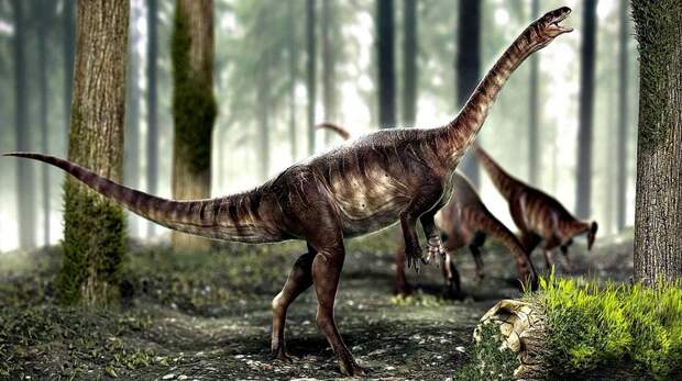 Зачем динозаврам длинные хвосты, выяснили ученые