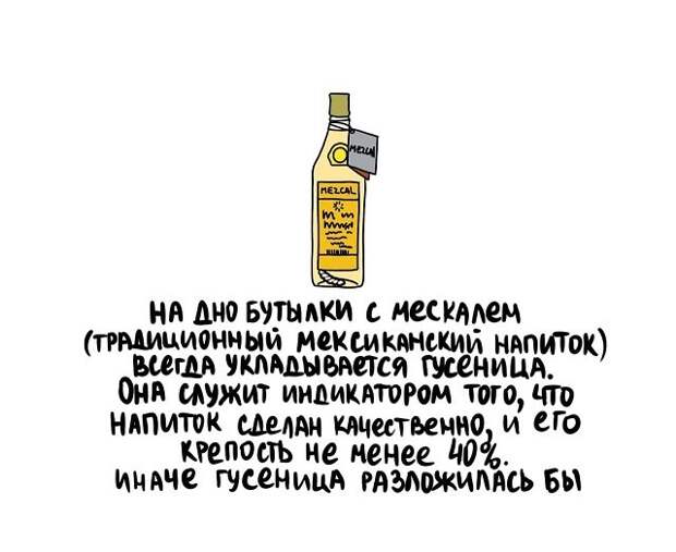 Подборка коротких интересных фактов на все случаи жизни