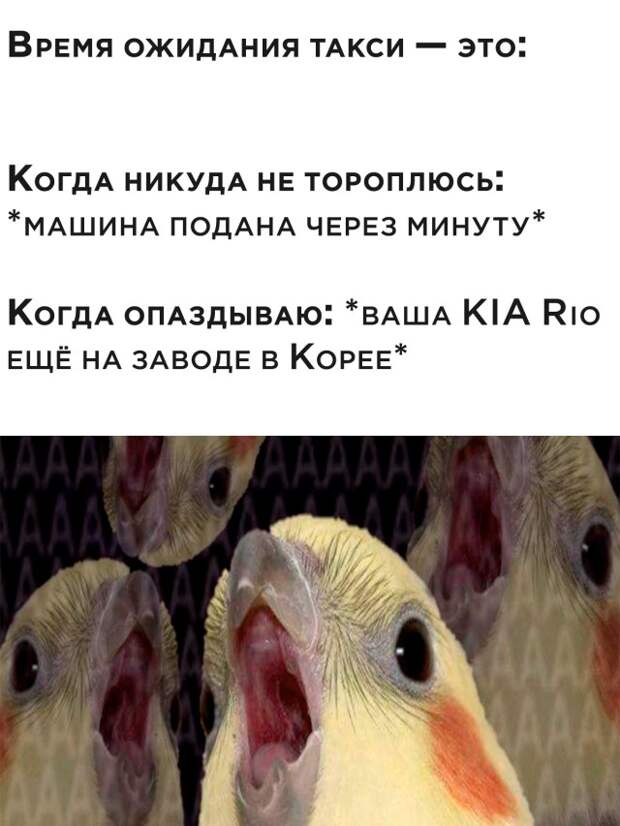 Смешные картинки 19 октября 2021 года