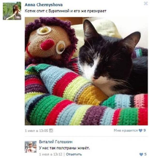 Кис-кис-кис Кис-кис-кис животные, коты, юмор