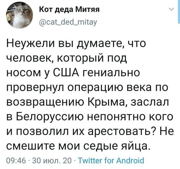 Политические комментарии из инета