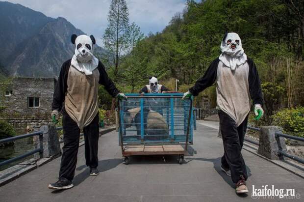 Приколы (55 фото)